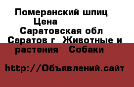 Померанский шпиц › Цена ­ 45 000 - Саратовская обл., Саратов г. Животные и растения » Собаки   